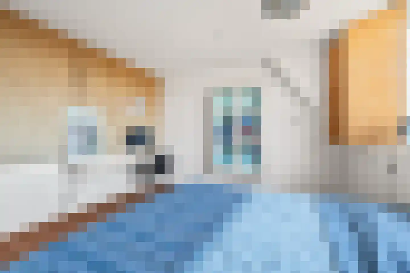 Eksterstraat 2 Benschop thumbnail 38