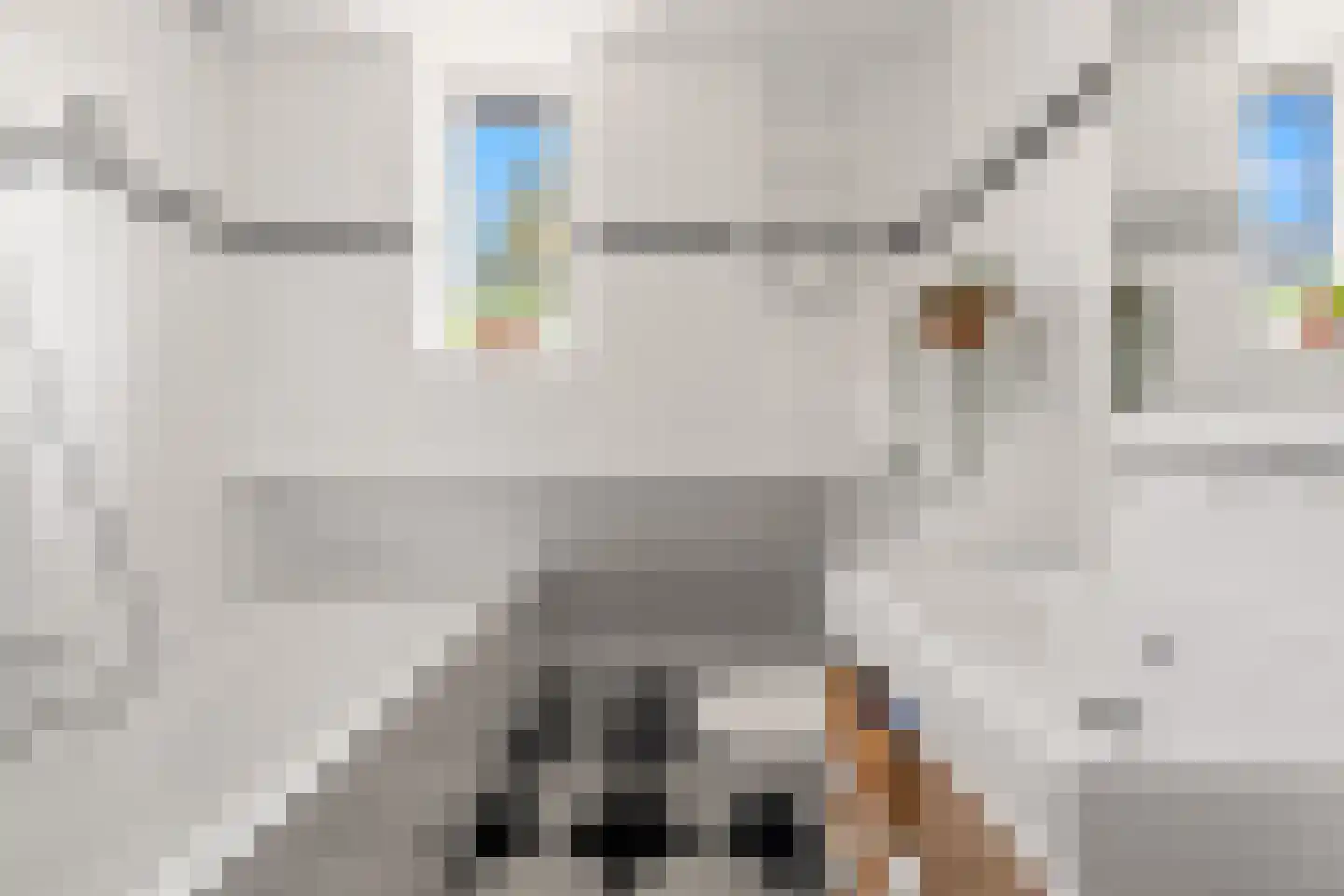 Eksterstraat 2 Benschop thumbnail 43