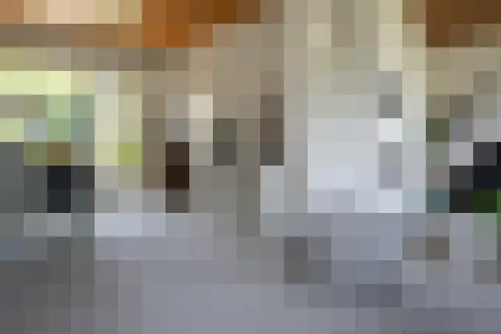 Eksterstraat 20 Helmond thumbnail 27