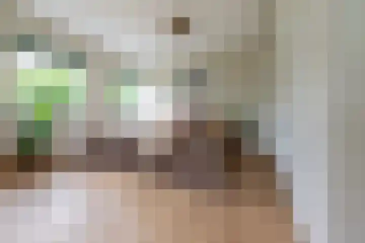 Eksterstraat 22 Vuren thumbnail 10
