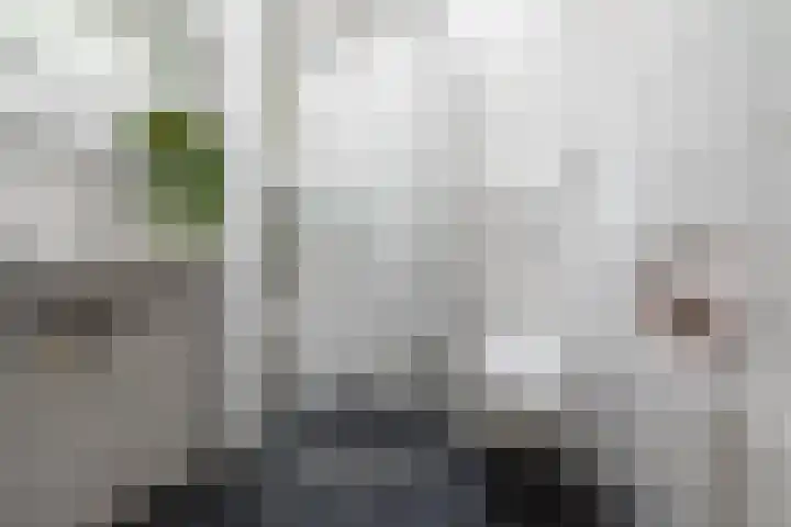 Eksterstraat 22 Vuren thumbnail 32