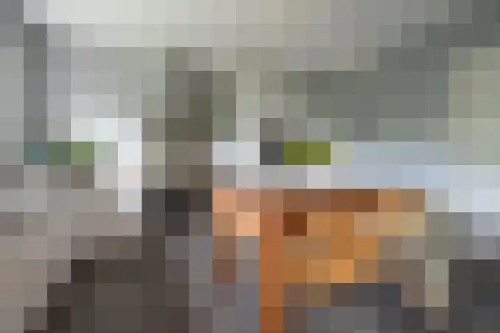 Eksterstraat 22 Vuren thumbnail 6