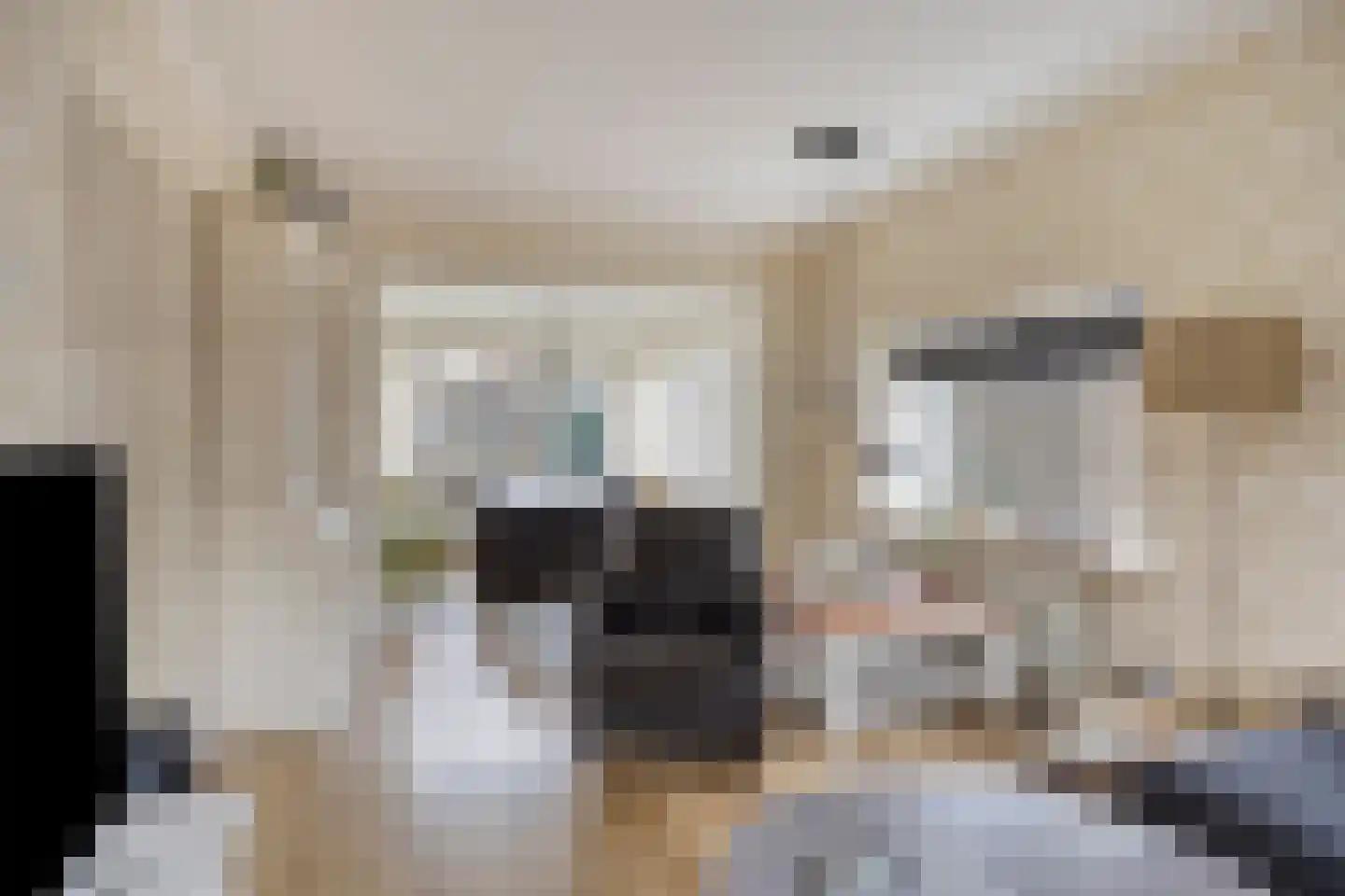 Eksterstraat 25 Zaltbommel thumbnail 8