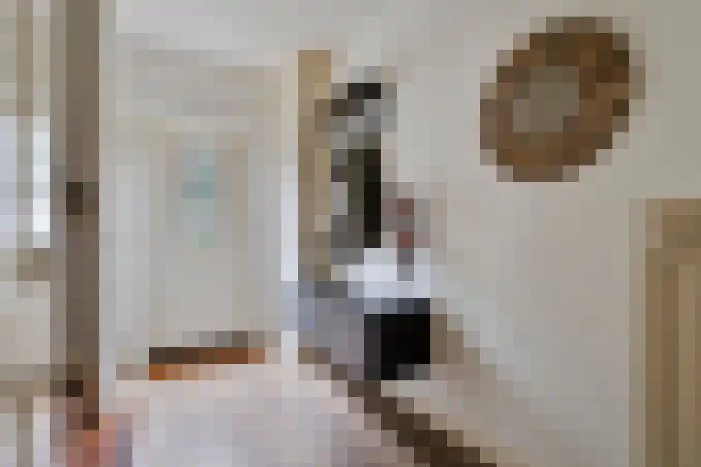 Eksterstraat 3 Helmond thumbnail 11