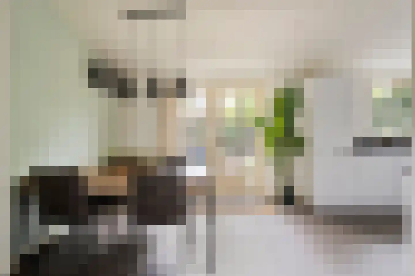 Eksterstraat 3 Helmond thumbnail 16