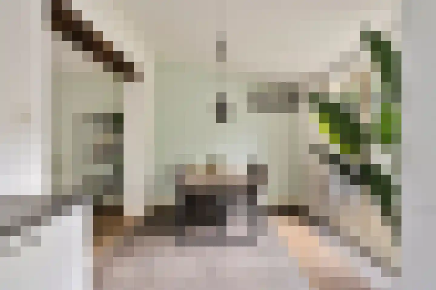 Eksterstraat 3 Helmond thumbnail 17
