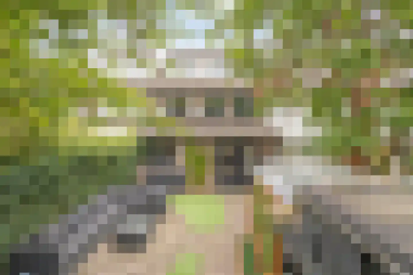 Eksterstraat 3 Helmond thumbnail 37