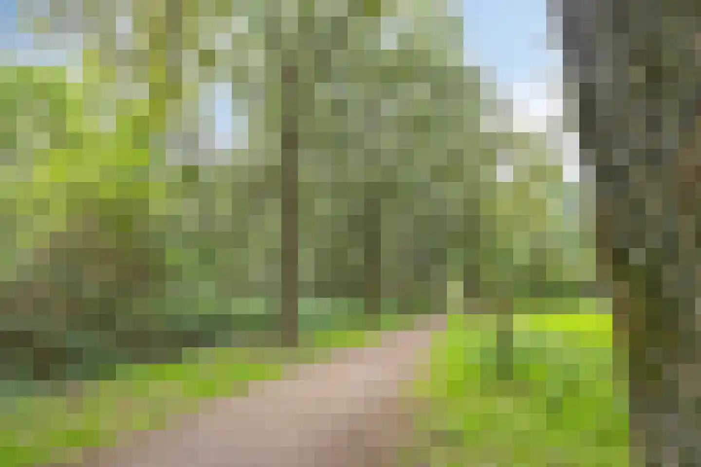 Eksterstraat 3 Helmond thumbnail 38