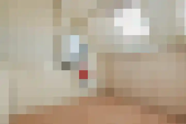 Eksterstraat 33 Schagen thumbnail 32