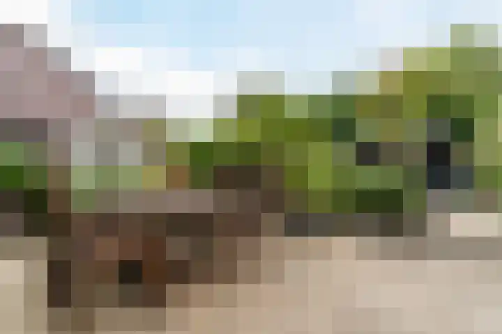 Eksterstraat 33 Schagen thumbnail 35