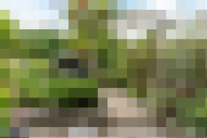 Eksterstraat 33 Schagen thumbnail 36