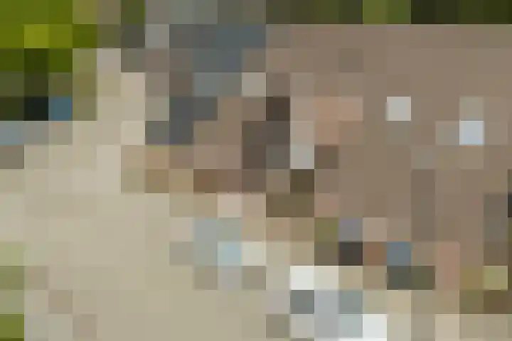 Eksterstraat 33 Schagen thumbnail 5