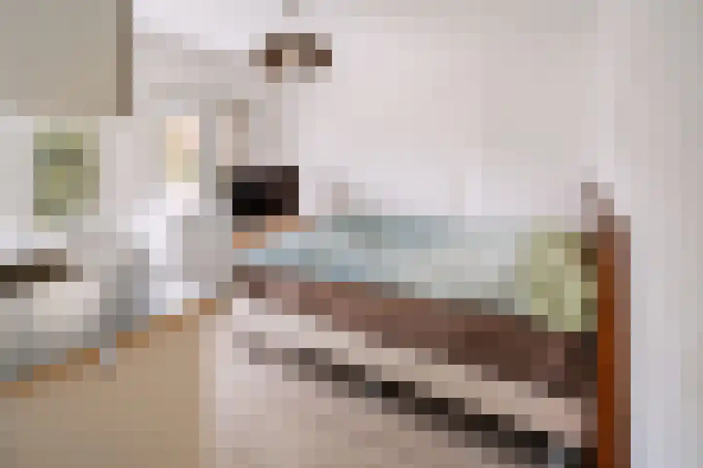 Eksterstraat 4 Helmond thumbnail 25