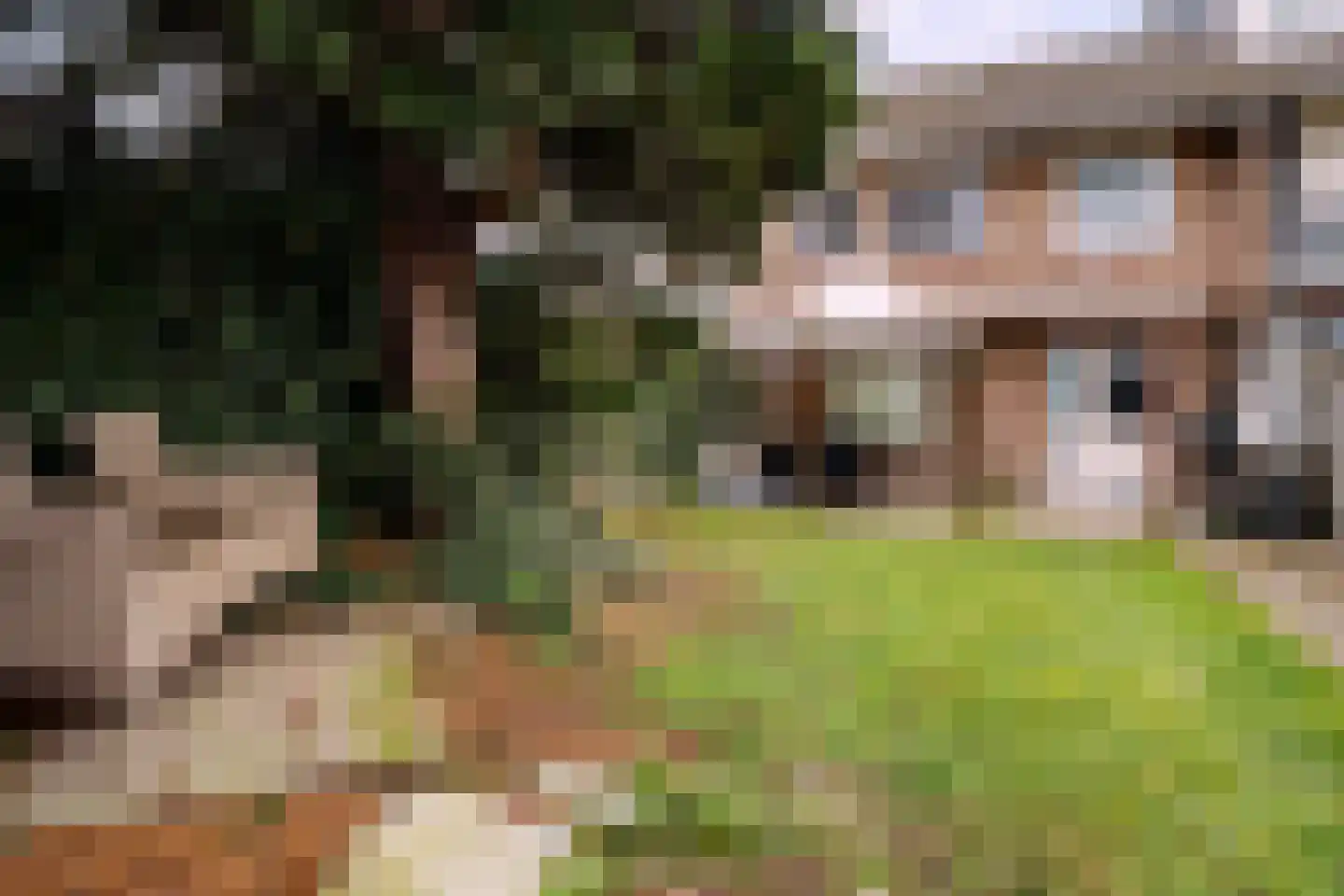 Eksterstraat 4 Helmond thumbnail 7