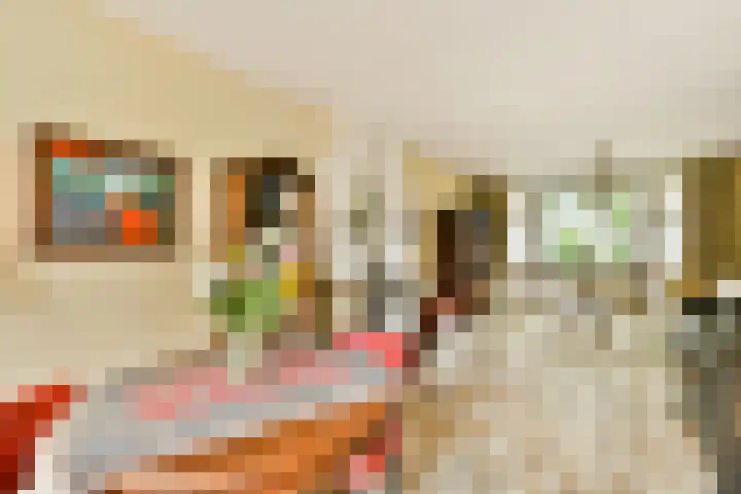 Eksterstraat 45 Badhoevedorp thumbnail 6