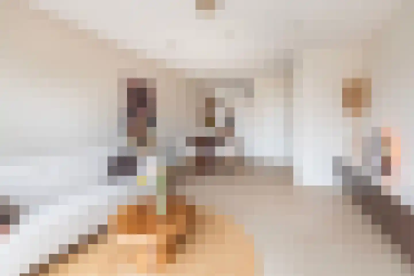 Eksterstraat 62 Ulft thumbnail 10