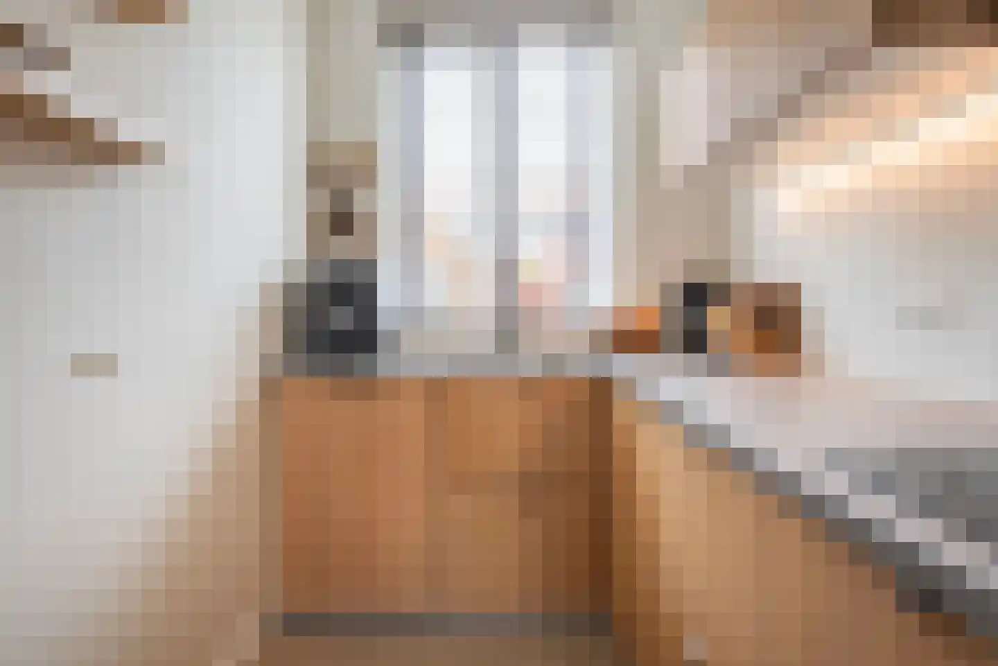 Eksterstraat 62 Ulft thumbnail 15