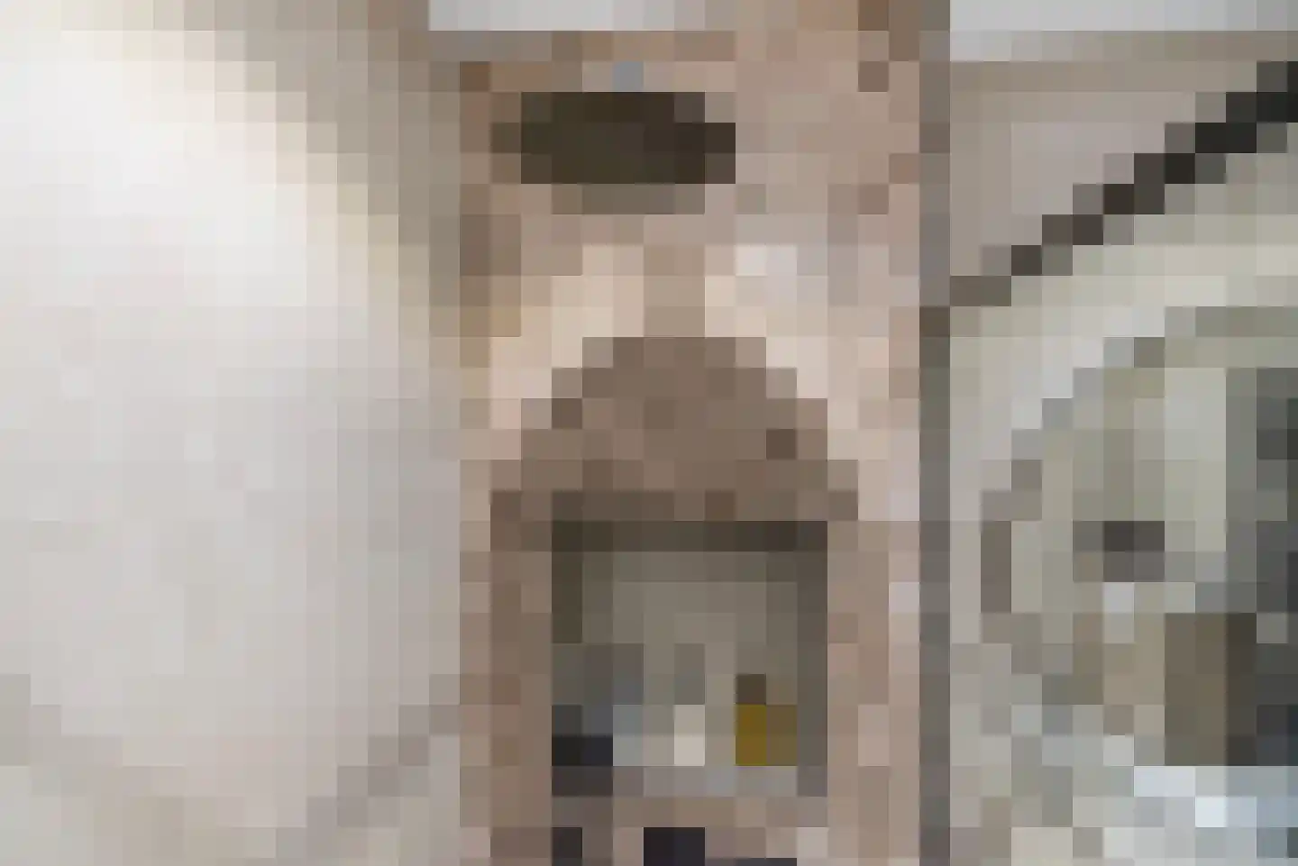 Eksterstraat 62 Ulft thumbnail 21
