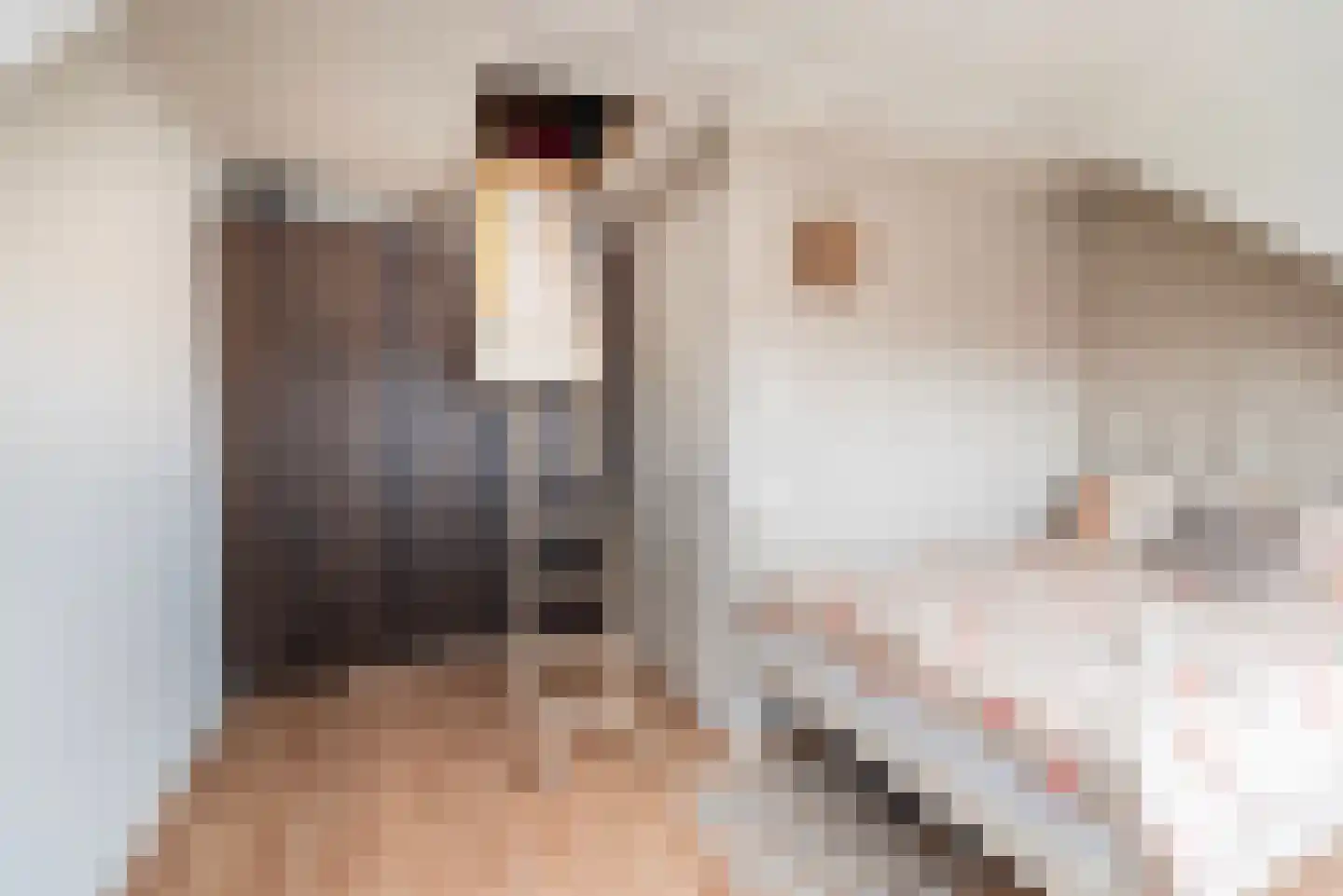 Eksterstraat 62 Ulft thumbnail 29