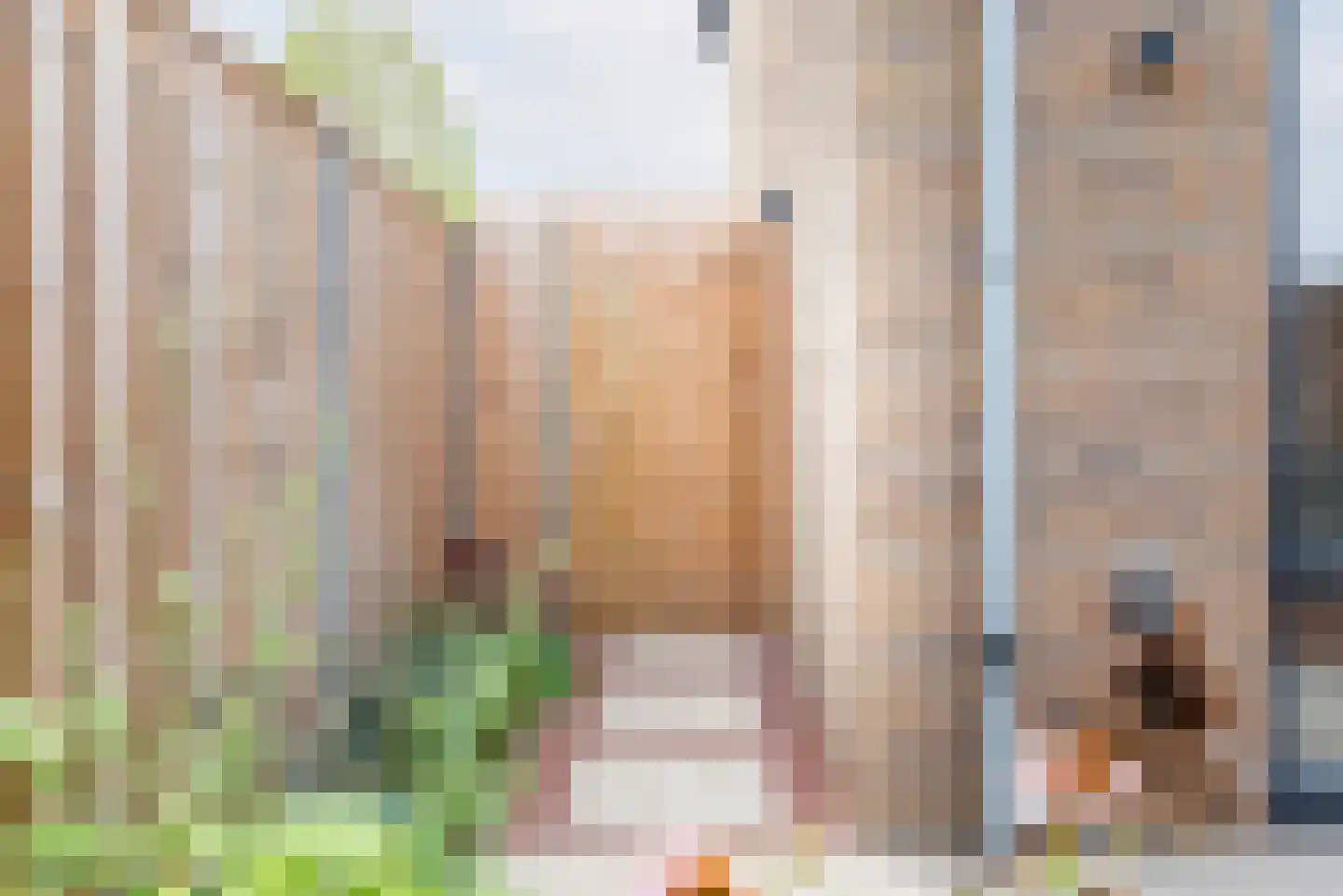 Eksterstraat 62 Ulft thumbnail 36