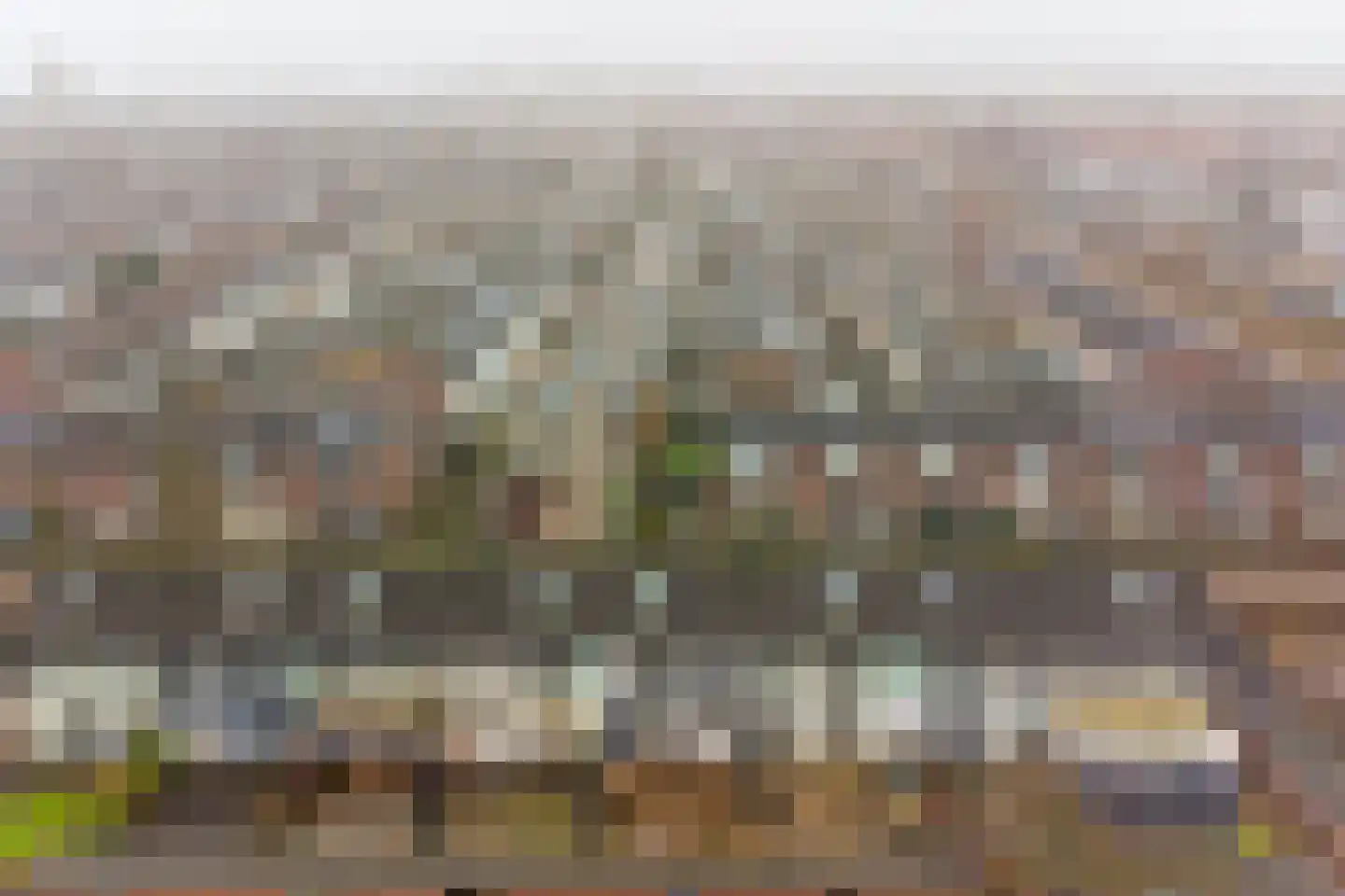 Eksterstraat 7 Oosterhout thumbnail 32