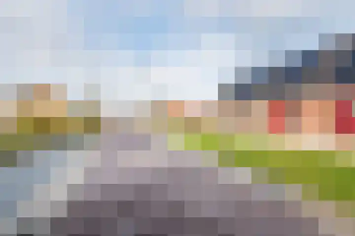 Eksterstraat 78 Ulft thumbnail 38