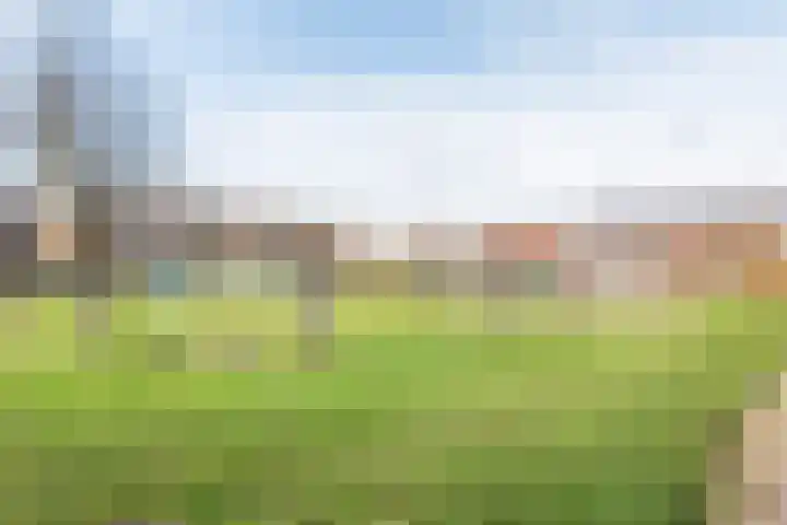 Eksterstraat 78 Ulft thumbnail 39