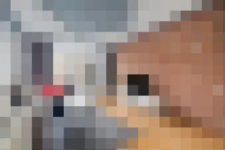 Eksterstraat 8 Alphen aan den Rijn thumbnail 7