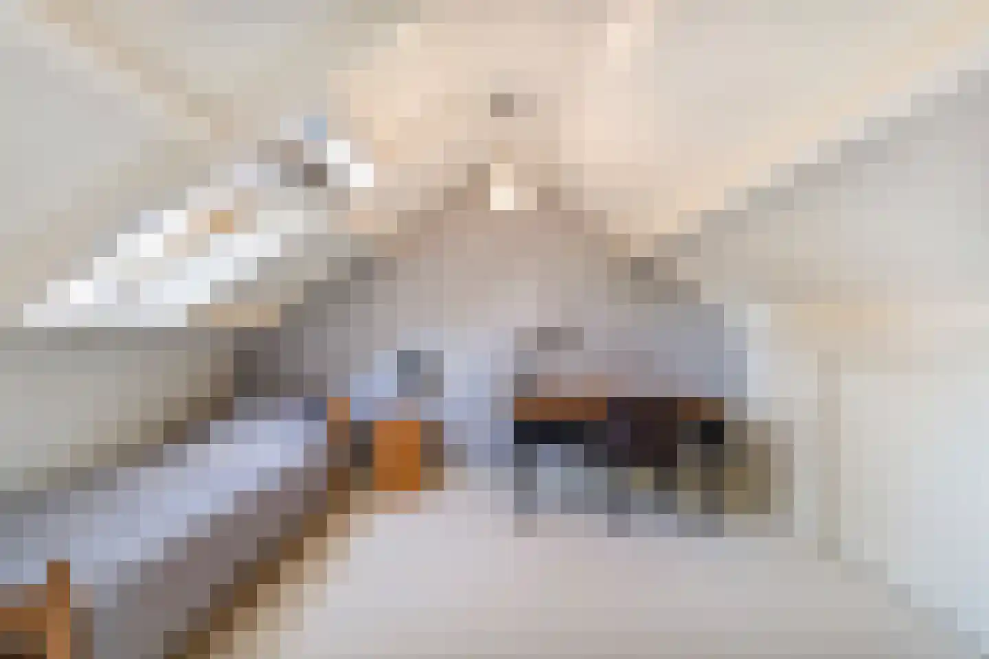 Eksterstraat 8 Schagen thumbnail 33