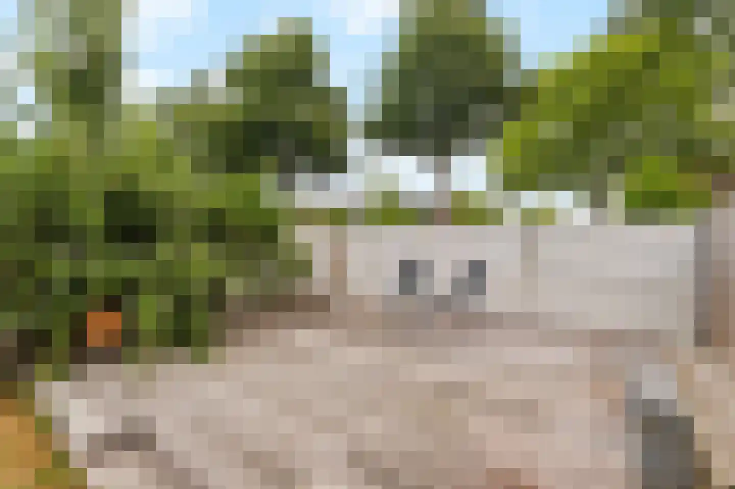 Eksterstraat 8 Schagen thumbnail 39