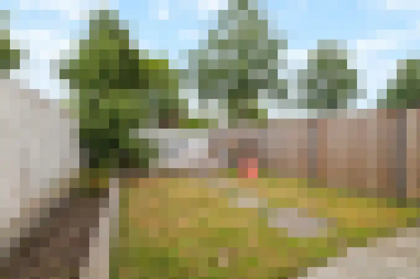 Eksterstraat 8 Schagen thumbnail 41