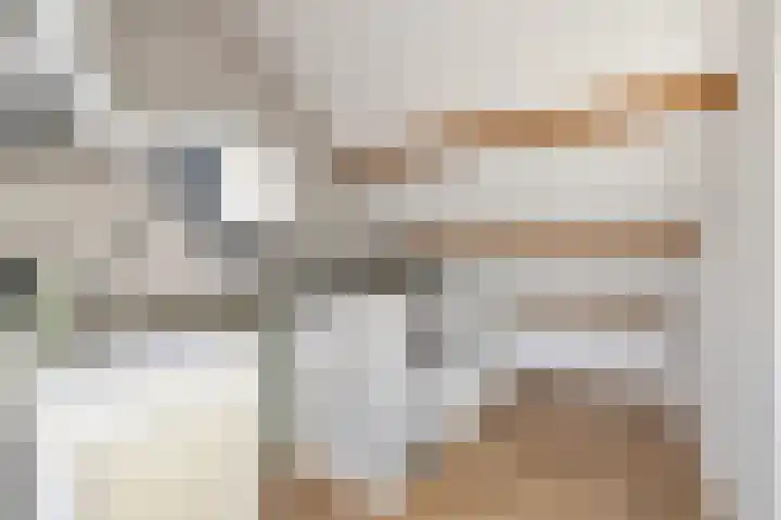 Eksterstraat 84 Schagen thumbnail 28