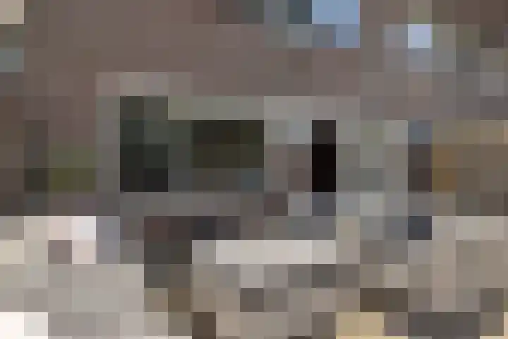 Eksterstraat 84 Schagen thumbnail 33
