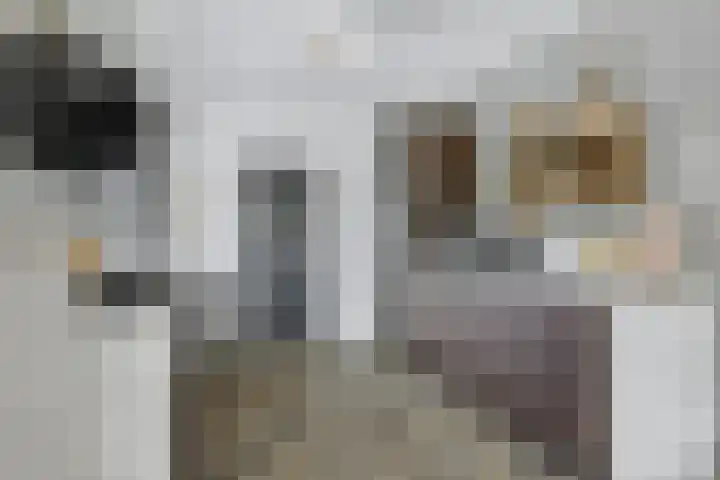 Eksterstraat 99 Schagen thumbnail 8
