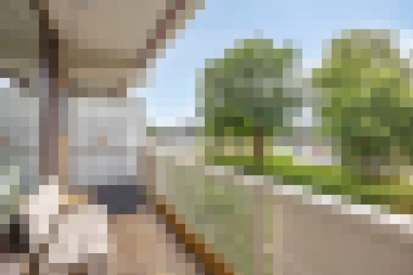 Eksterweg 26 Apeldoorn thumbnail 15
