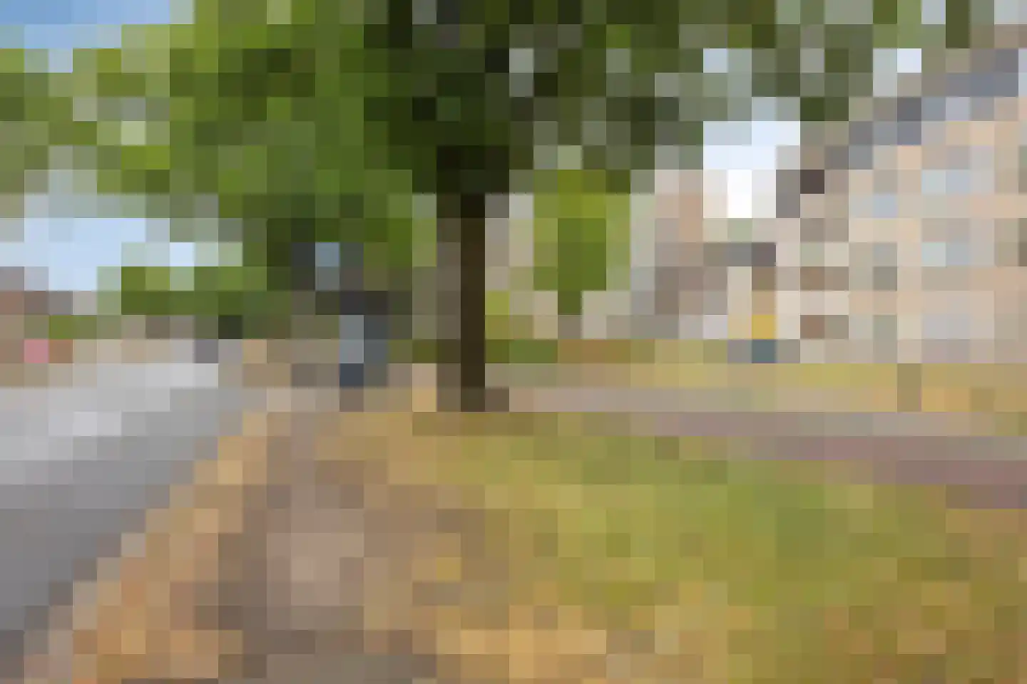 Eksterweg 26 Apeldoorn thumbnail 20