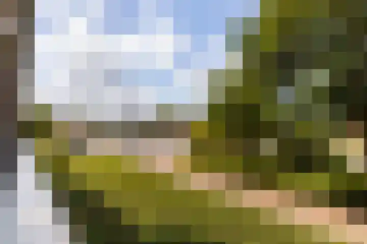 Eksterweg 32 Apeldoorn thumbnail 18
