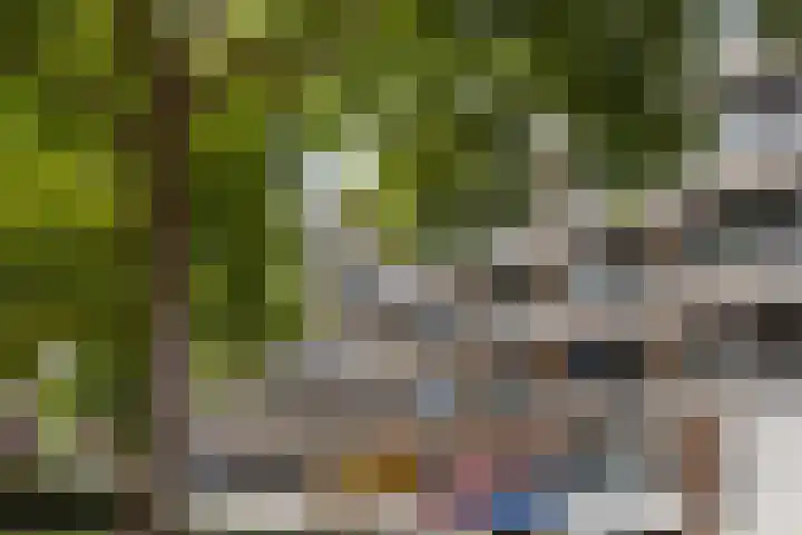 Eksterweg 32 Apeldoorn thumbnail 21