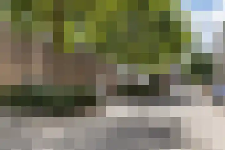 Eksterweg 32 Apeldoorn thumbnail 22