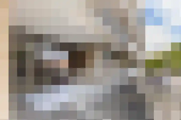 Eksterweg 32 Apeldoorn thumbnail 5