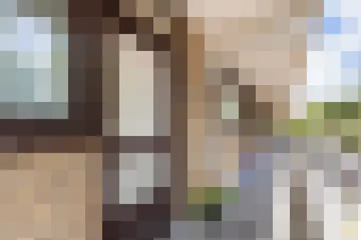 Eksterweg 32 Apeldoorn thumbnail 6