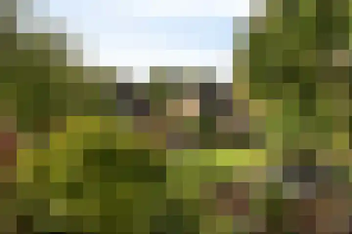 Eksterweg 34 IJsselstein thumbnail 32