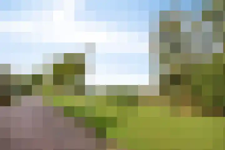 Eksterweg 34 IJsselstein thumbnail 33