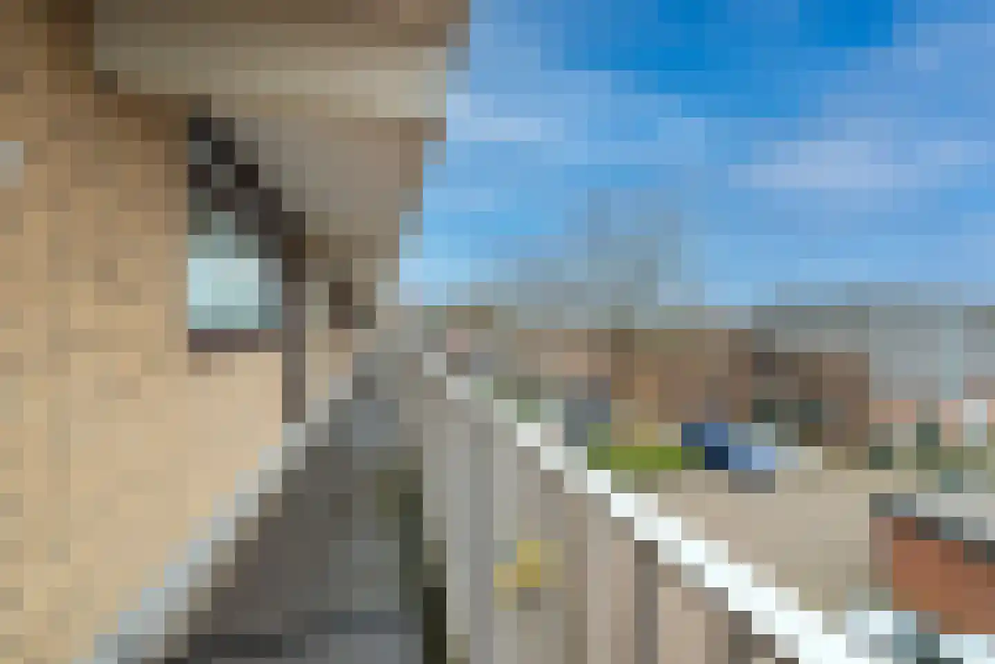 Eksterweg 78 Apeldoorn thumbnail 6