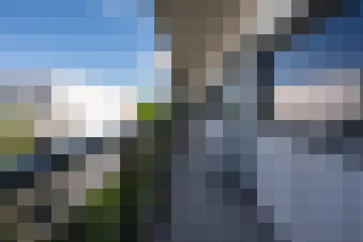 El Grecostraat 251 Almere thumbnail 5