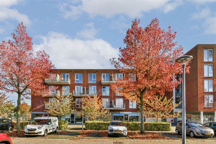 El Grecostraat 261 in Almere foto