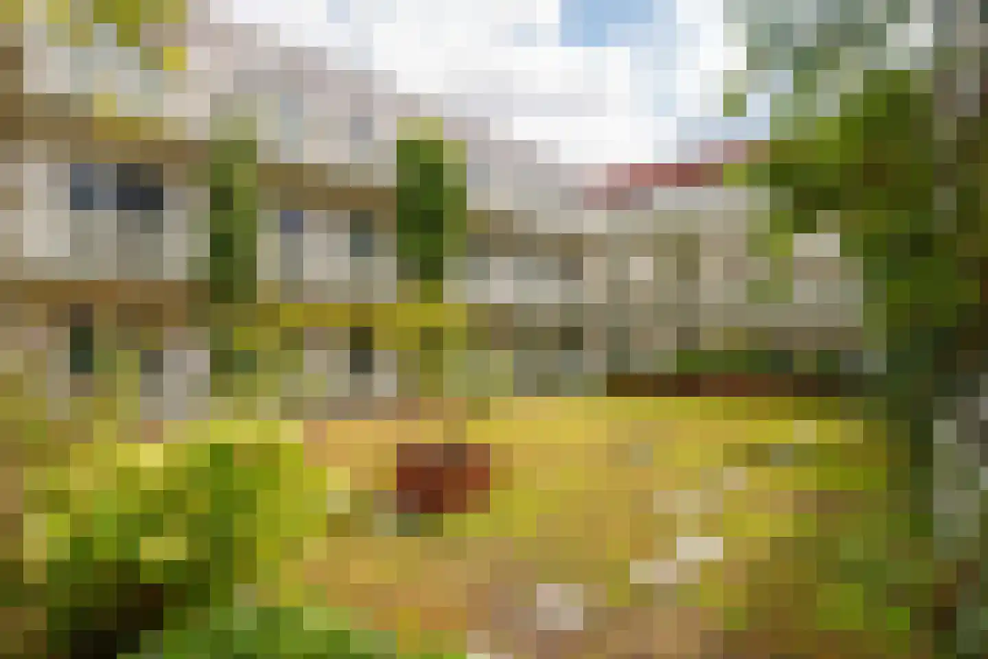 El Grecostraat 271 Almere thumbnail 29