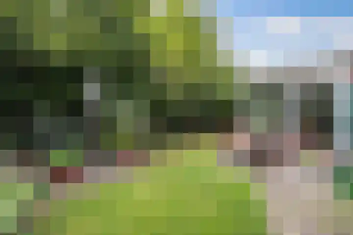 Eland 35 Huizen thumbnail 22