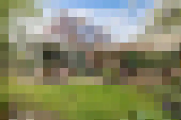 Eland 35 Huizen thumbnail 25