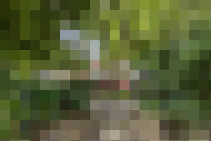 Eland 35 Huizen thumbnail 26
